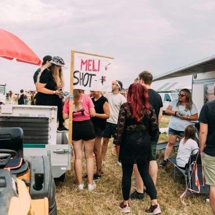 BRAINBRIDGE FESTIVAL 2026 - Samstag