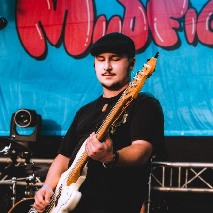 BRAINBRIDGE FESTIVAL 2026 - Samstag