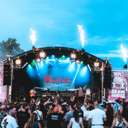 BRAINBRIDGE FESTIVAL 2026 - Samstag