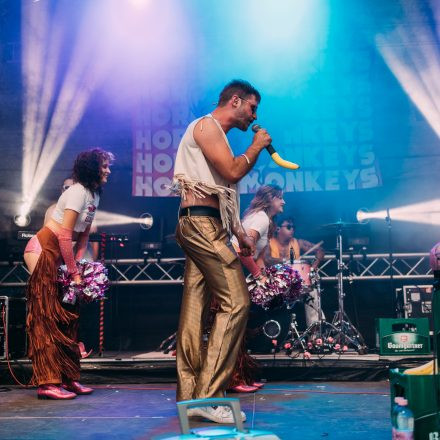 BRAINBRIDGE FESTIVAL 2026 - Samstag