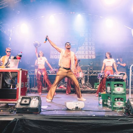 BRAINBRIDGE FESTIVAL 2026 - Samstag