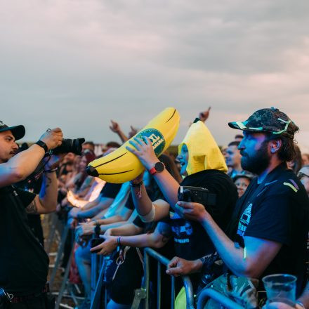 BRAINBRIDGE FESTIVAL 2026 - Samstag