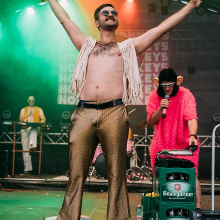 BRAINBRIDGE FESTIVAL 2026 - Samstag