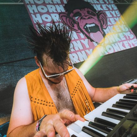 BRAINBRIDGE FESTIVAL 2026 - Samstag