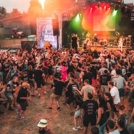 BRAINBRIDGE FESTIVAL 2026 - Samstag