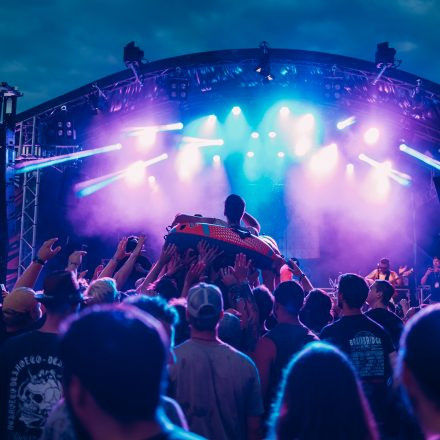 BRAINBRIDGE FESTIVAL 2026 - Samstag