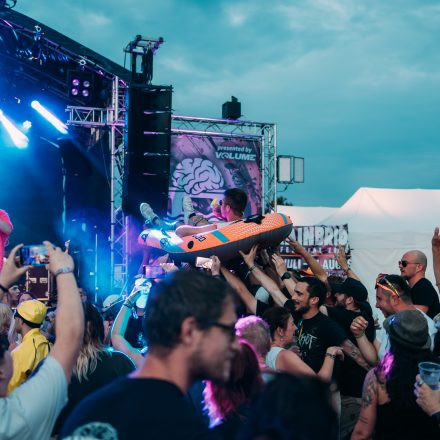 BRAINBRIDGE FESTIVAL 2026 - Samstag