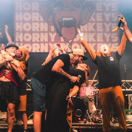 BRAINBRIDGE FESTIVAL 2026 - Samstag