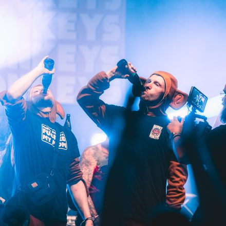 BRAINBRIDGE FESTIVAL 2026 - Samstag