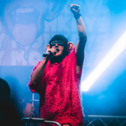 BRAINBRIDGE FESTIVAL 2026 - Samstag