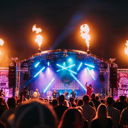 BRAINBRIDGE FESTIVAL 2026 - Samstag