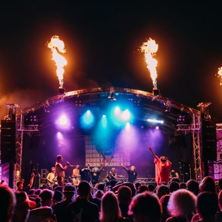 BRAINBRIDGE FESTIVAL 2026 - Samstag