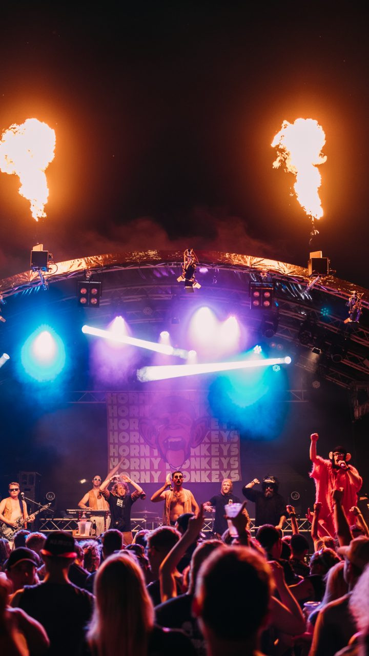 BRAINBRIDGE FESTIVAL 2026 - Samstag