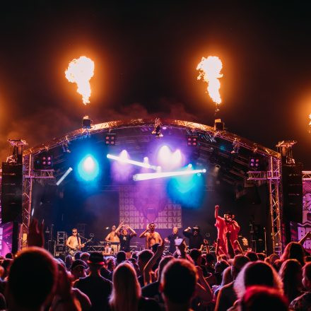 BRAINBRIDGE FESTIVAL 2026 - Samstag
