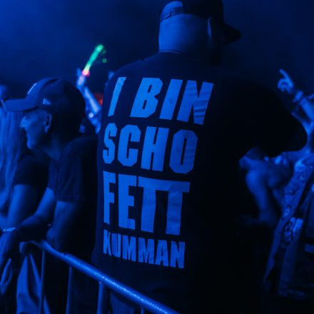 BRAINBRIDGE FESTIVAL 2026 - Samstag