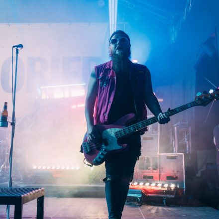 BRAINBRIDGE FESTIVAL 2026 - Samstag