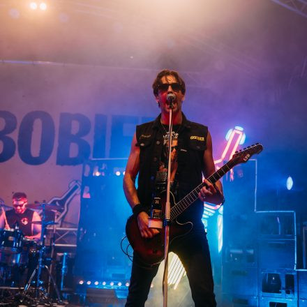 BRAINBRIDGE FESTIVAL 2026 - Samstag