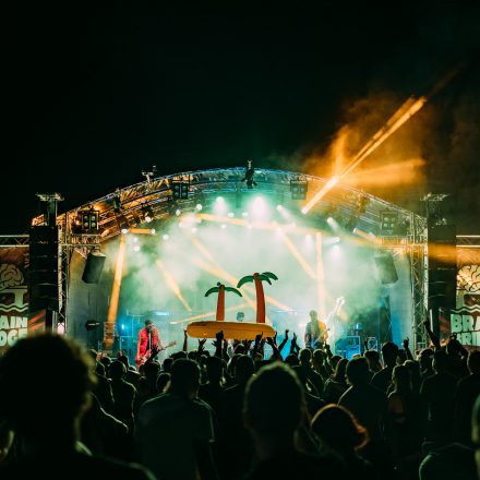 BRAINBRIDGE FESTIVAL 2026 - Samstag