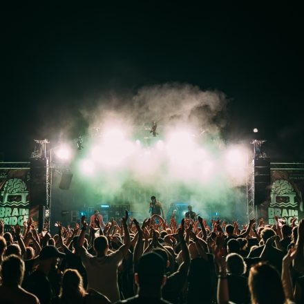 BRAINBRIDGE FESTIVAL 2026 - Samstag