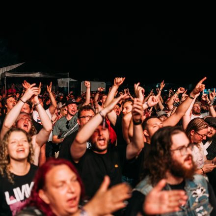 BRAINBRIDGE FESTIVAL 2026 - Samstag