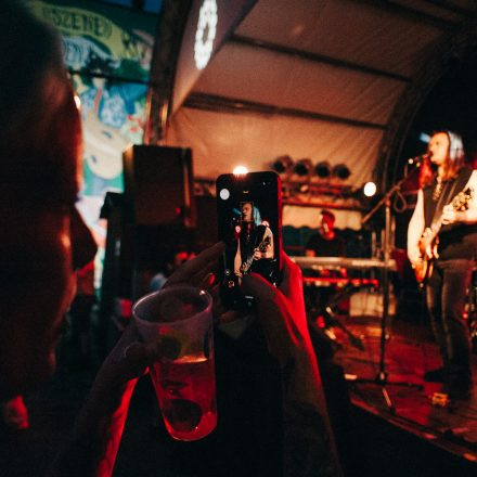 5:15 - THE WHO TRIBUTE | FLEETWOOD DAISIES - Szene Soundgarden