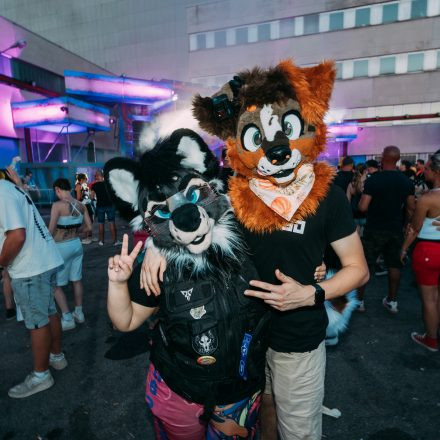 Shutdown Festival 2026 - Part 2