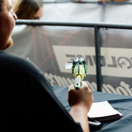 FM4 Frequency Festival 2026 - Autogrammzelt pres. by Infinity Water