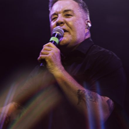 Dropkick Murphys