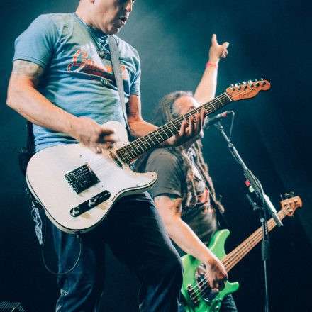 Dropkick Murphys