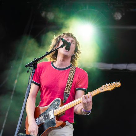 Babyshambles, Anda Morts