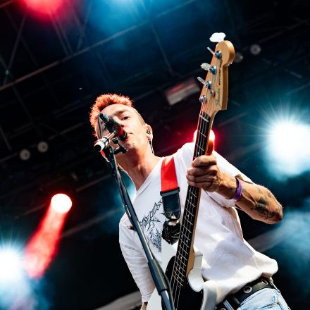 Babyshambles, Anda Morts