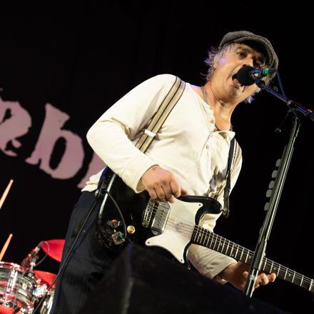 Babyshambles, Anda Morts