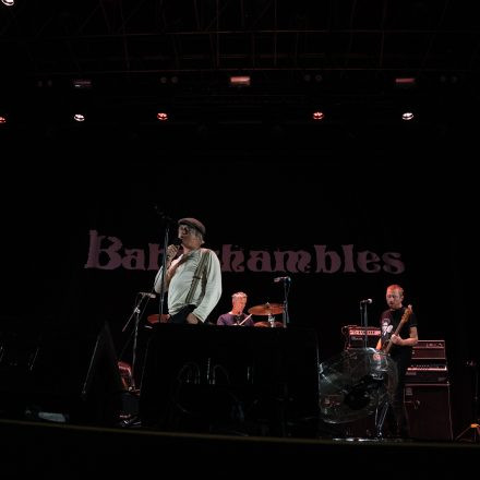 Babyshambles, Anda Morts