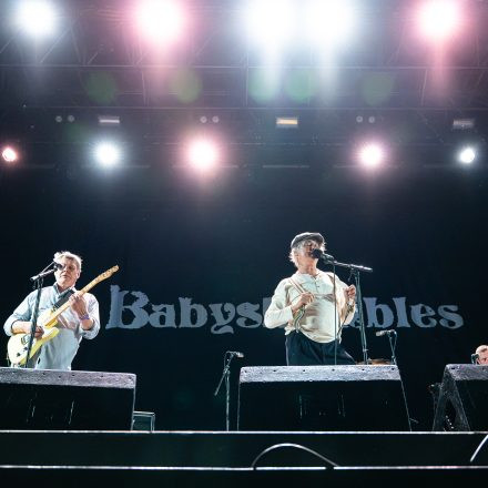 Babyshambles, Anda Morts