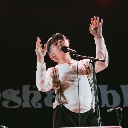 Babyshambles, Anda Morts