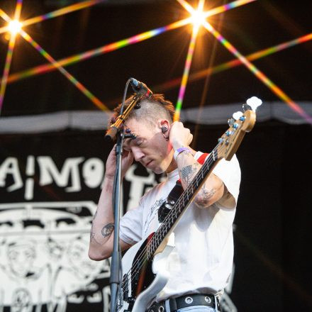 Babyshambles, Anda Morts