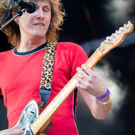 Babyshambles, Anda Morts