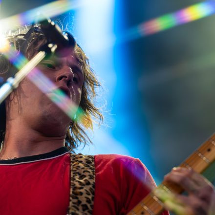 Babyshambles, Anda Morts
