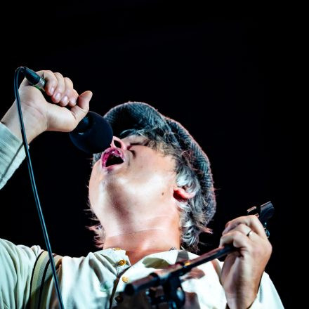 Babyshambles, Anda Morts