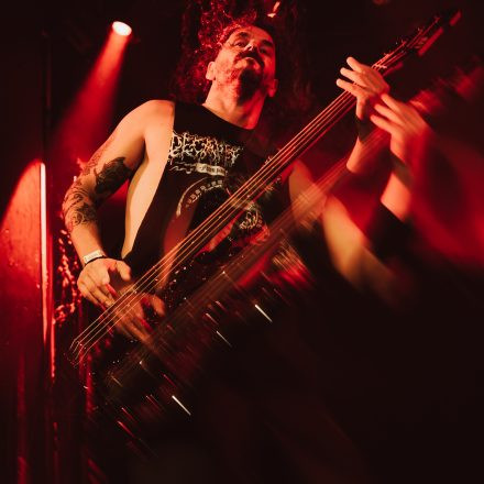 Soulfly