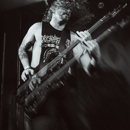 Soulfly