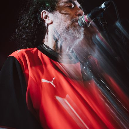 Soulfly