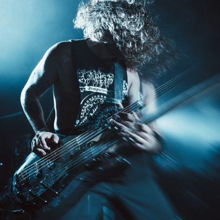 Soulfly