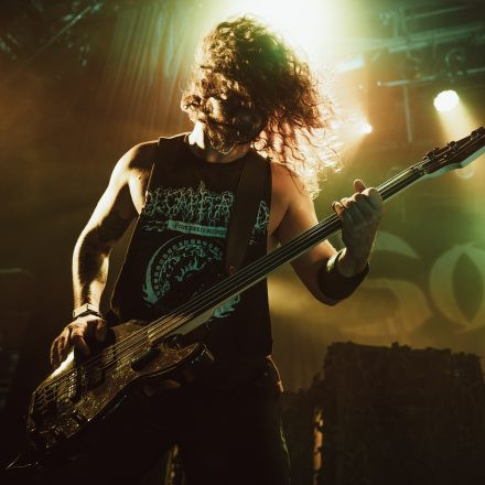 Soulfly