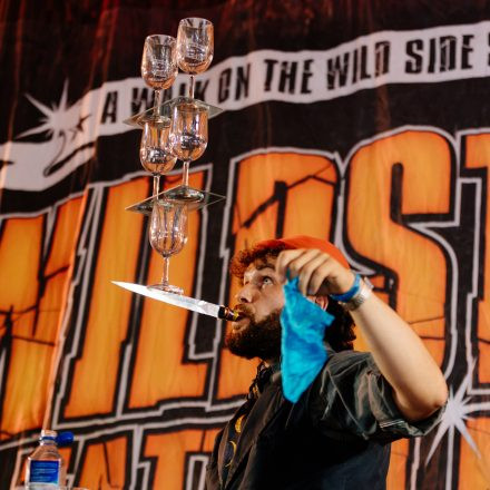 Wildstyle & Tattoo Messe 2026