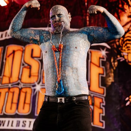 Wildstyle & Tattoo Messe 2026