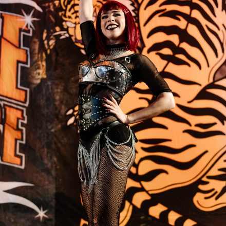 Wildstyle & Tattoo Messe 2026