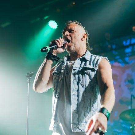 Harri Stojka & Band - Anarchy