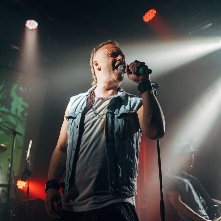 Harri Stojka & Band - Anarchy