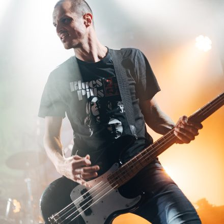 Harri Stojka & Band - Anarchy